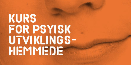 Sider-fra-Nye-fagkategorier-pdf_Side_28.jpg