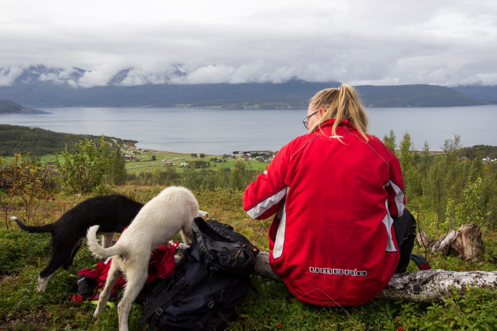 Hilde-Kristin og to hunder, utsikt fra fjelltopp