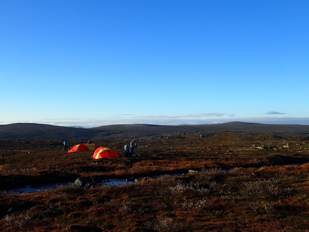ffrasti1 FOTO Yngve Beddari