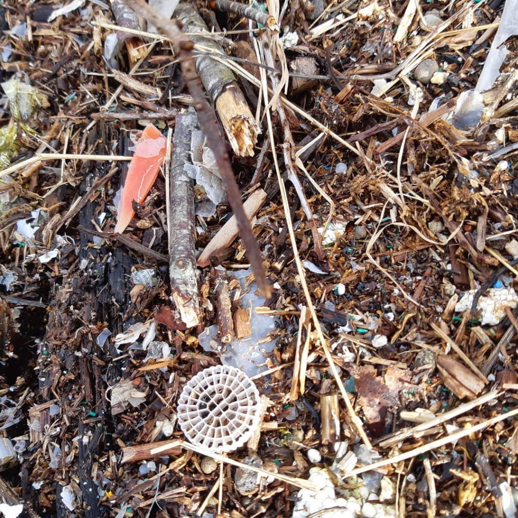 avfall søppel plast strandrydding Verdal Bakketun folkehøgskole