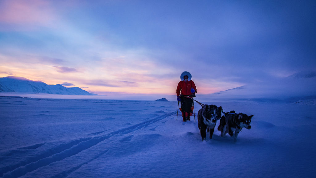 Hunder friluftsliv Svalbard folkehøgskole