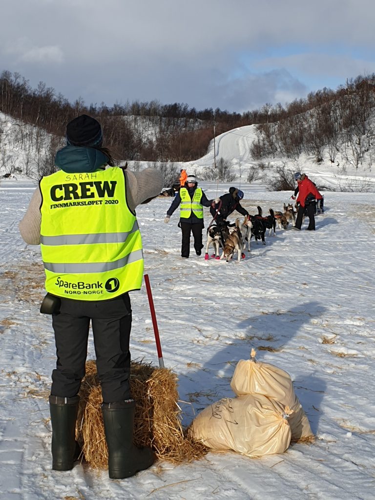 frivillige Finnmarksløpet deler ut halm og depotsekker