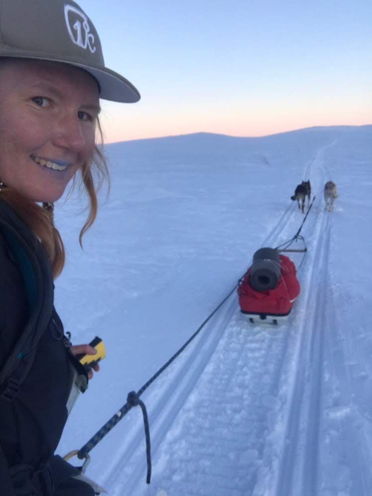 Lærer står på ski med slede og hunder på fjellet