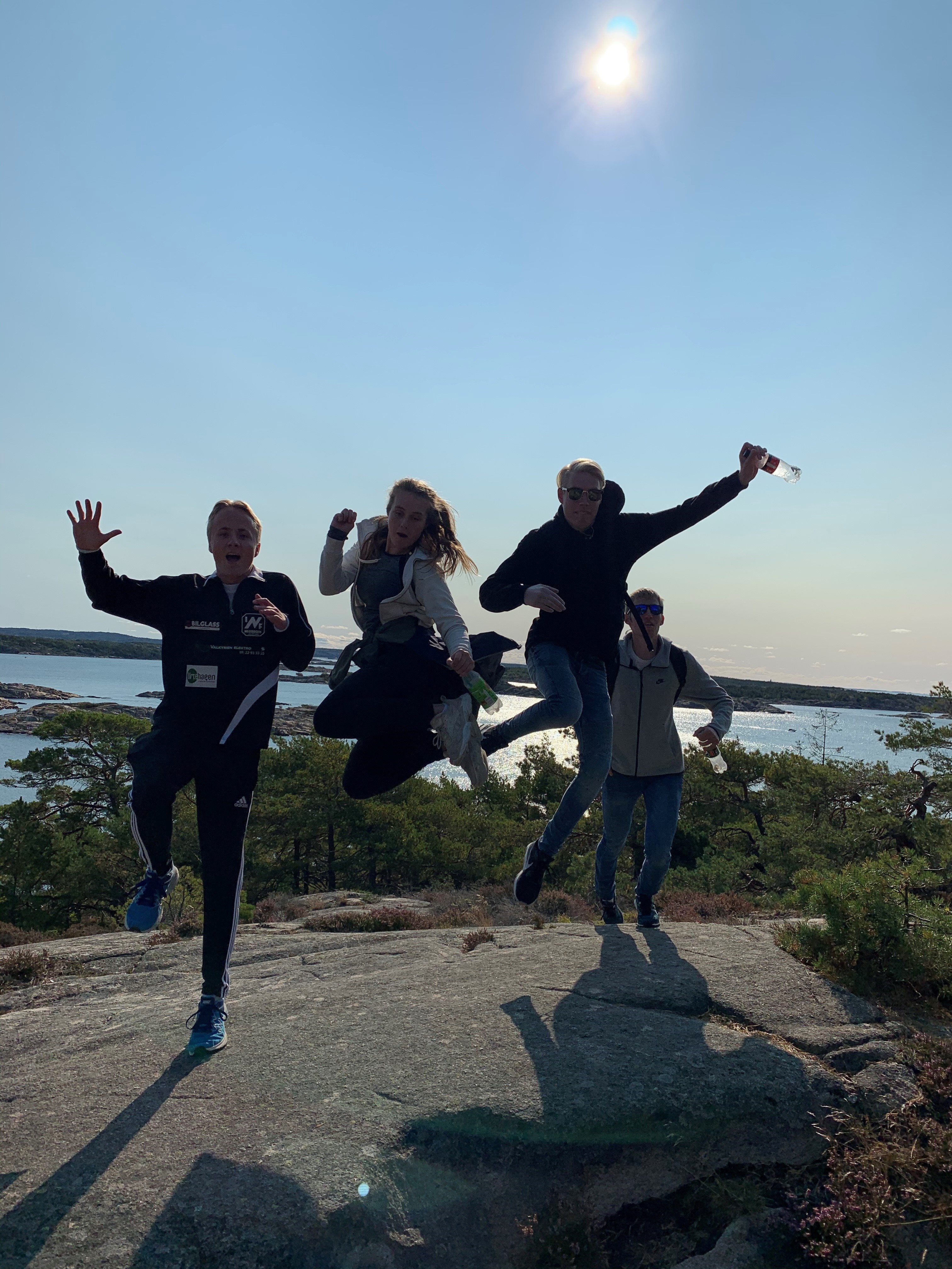gruppebilde, fjelltur, hoppende på toppen