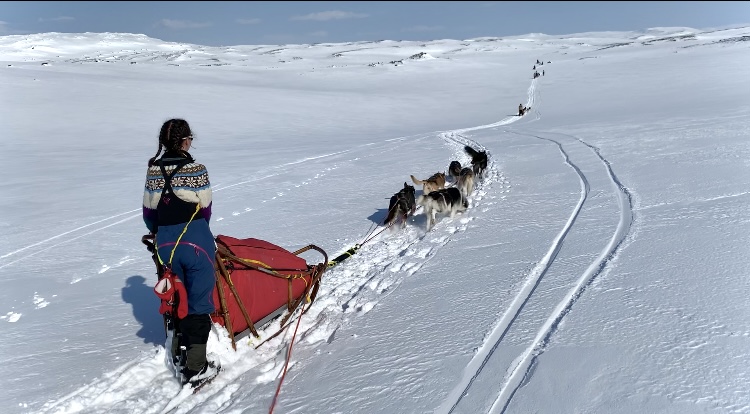 kjøring med hundespann på snø, Eileen og seks hunder