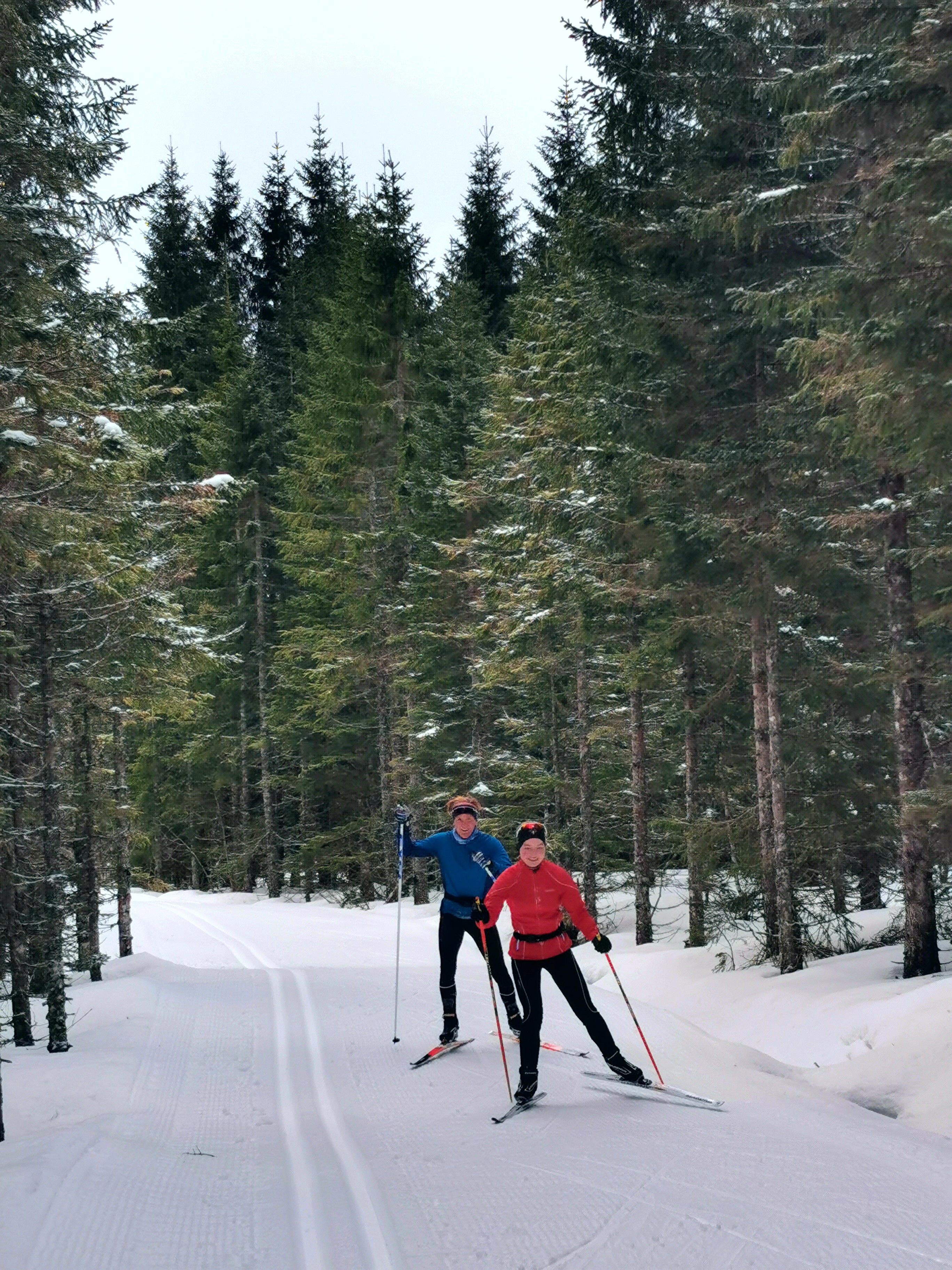 To elever på ski, skøyter, i skogen