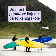 👆 Sjekk hvilke linjer som har fått mest søknader til nå! ⚠️ NB! Noen linjetyper har få plasser, så selv om linja du er ...