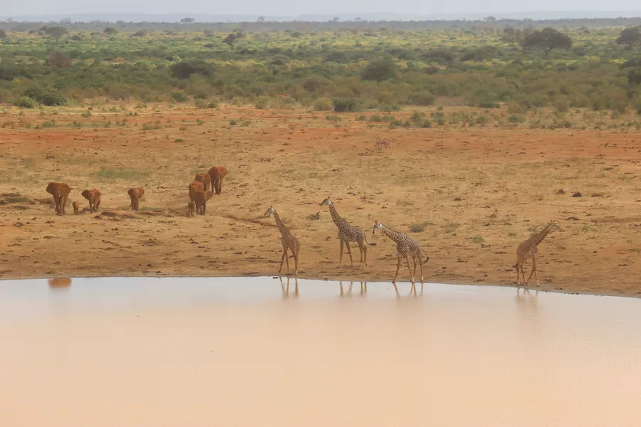 Folkehøgskolen Sørlandet - Globalt Fokus og Experience - Linjetur til Kenya og Zanzibar