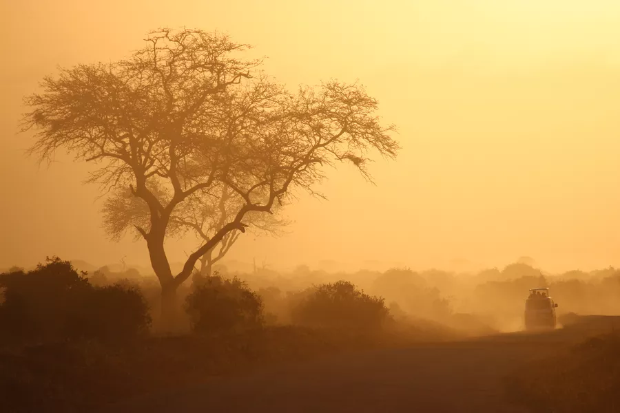 Folkehøgskolen Sørlandet - Globalt Fokus og Experience - Linjetur til Kenya og Zanzibar