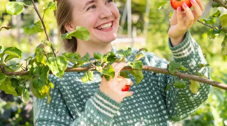 Kristine Klemmetvoll Østerud
