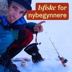 Ha respekt for isen! Å bevege seg ut på is, innebærer risiko. Lær mer om is på varsom.no/isskolen 🧊

Isfiske er en av m...