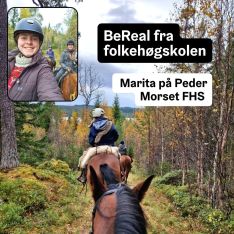 Marita har sendt oss sine BeReals fra @hesteliv_pedermorsetfhs 🐴📸

#fhsliv #hest #hesterbest 
#bereal #hverdag #skoleh...