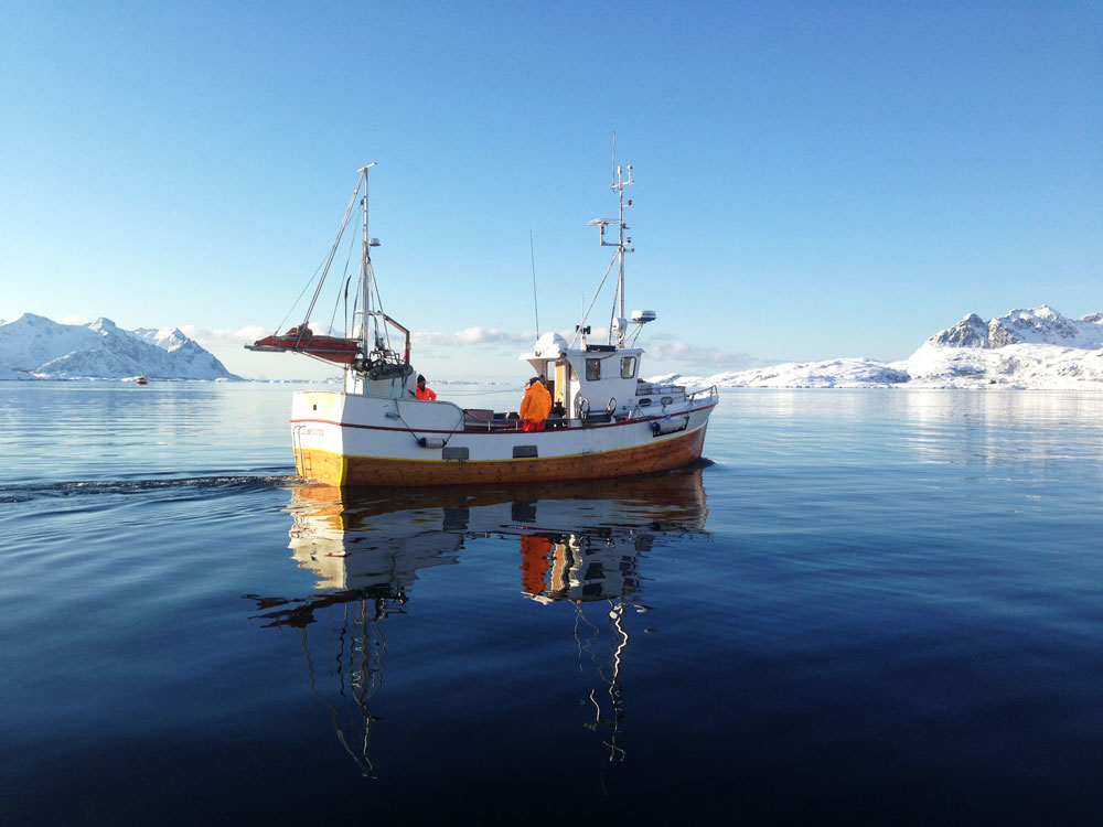 greenchallengelofoten2