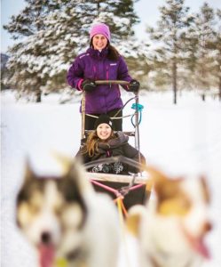I Nord-Norge kan man opleve nordlys, dyb sne og hundekørsel