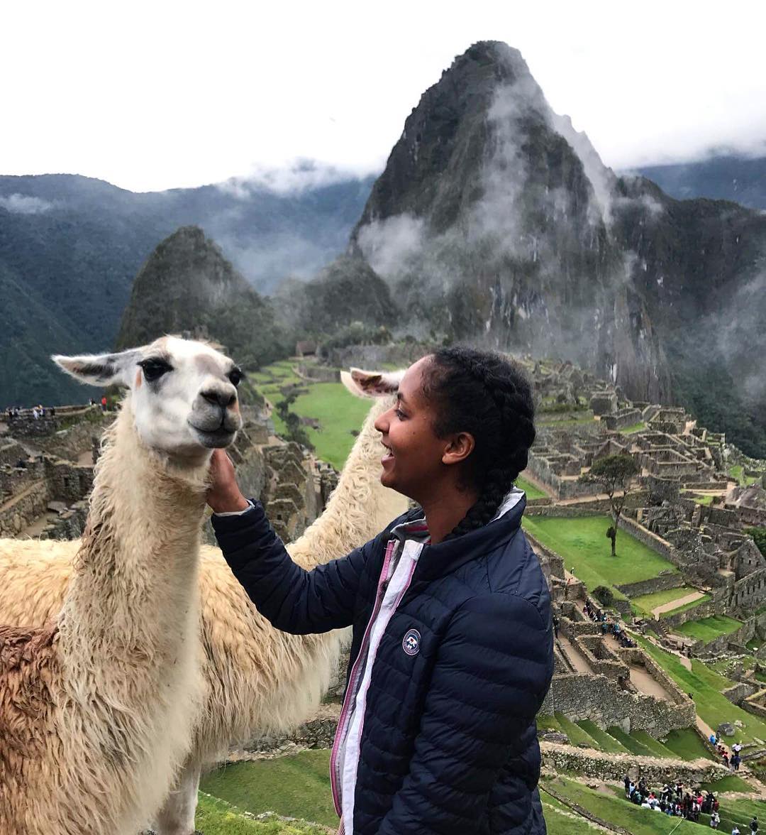 Person rører ved lama med Machu Pichu i bakgrunnen