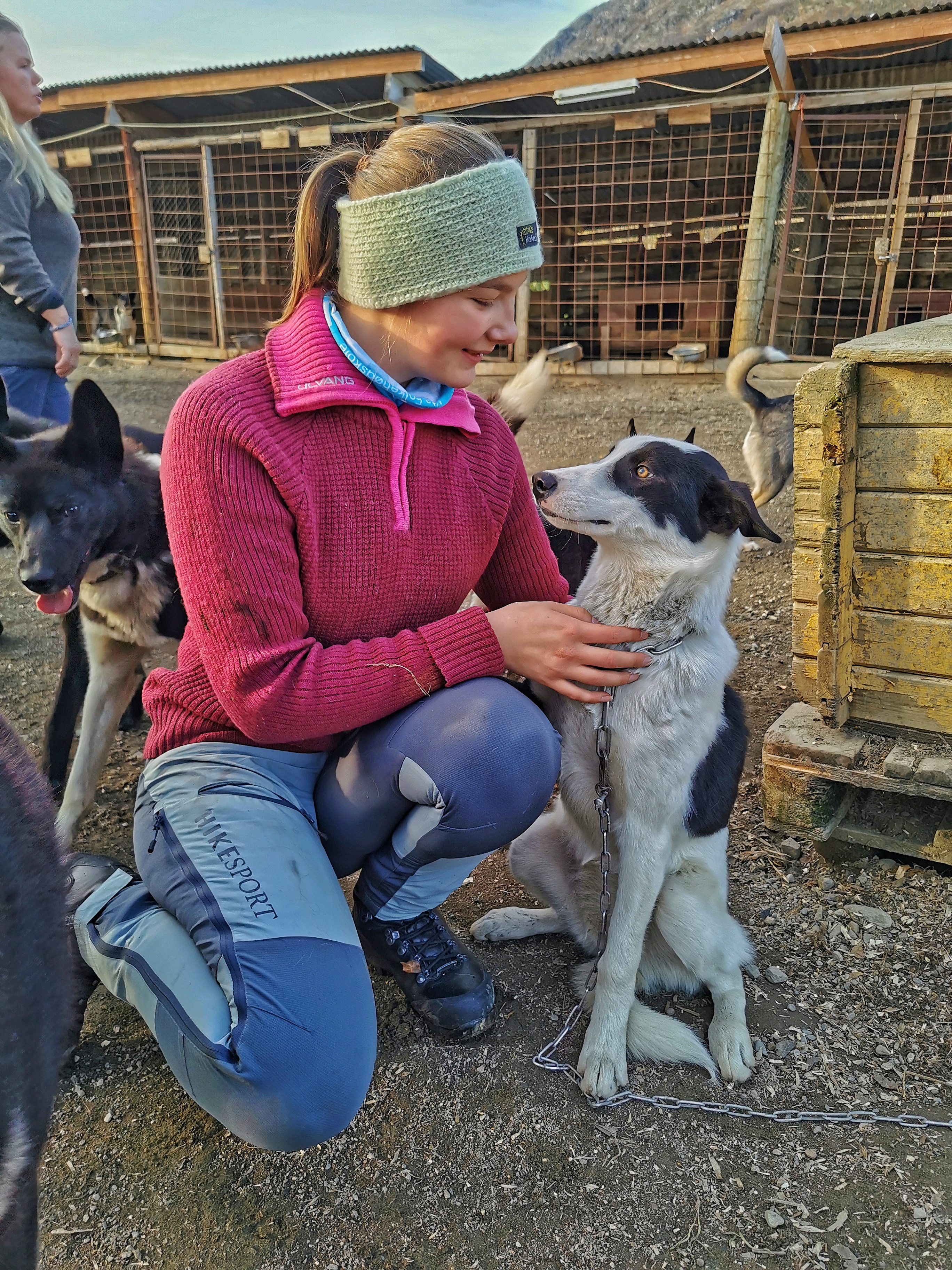 Elev klapper hund utenfor en hundegård.