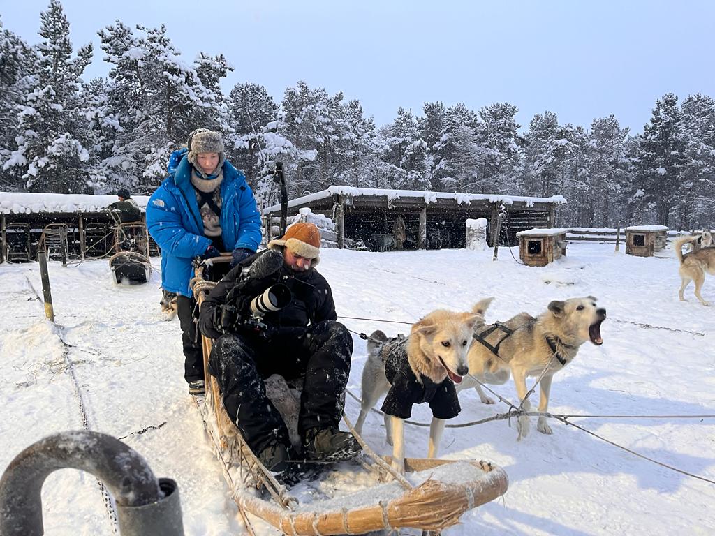 Hundeslede og hunder i snøen